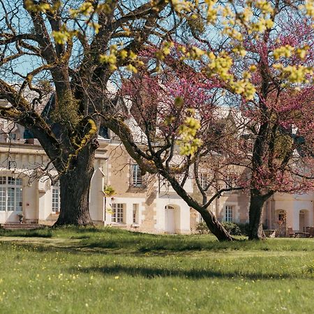 Chateau De Razay Céré-la-Ronde Dış mekan fotoğraf