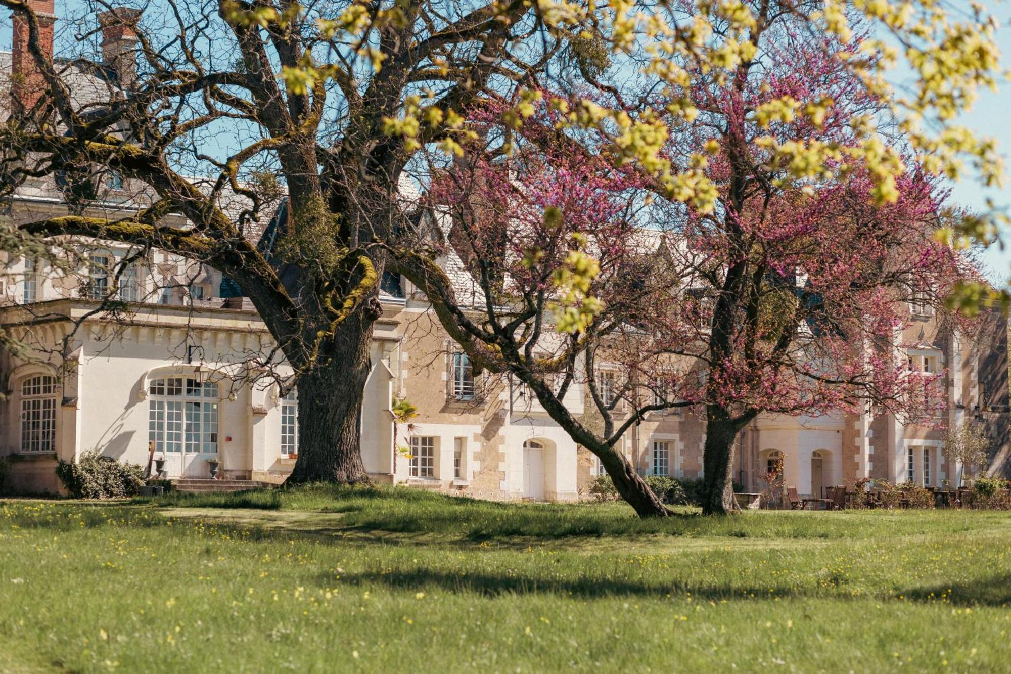 Chateau De Razay Céré-la-Ronde Dış mekan fotoğraf